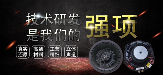6.5寸吸顶式天花喇叭 6.5寸吸顶式天花喇叭