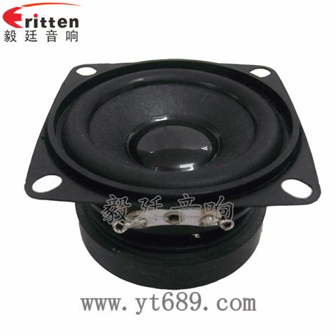 53*53mm5W全频喇叭