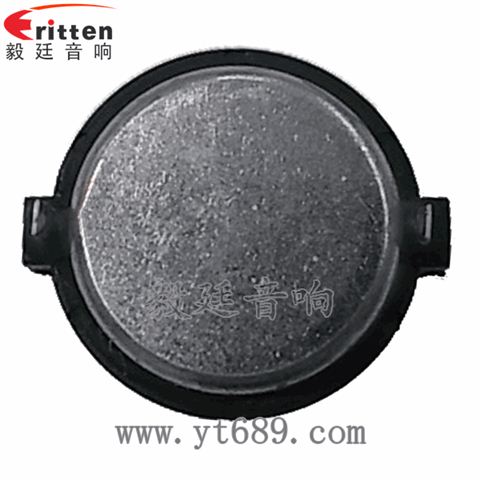 31mm20芯15瓦学习机高音喇叭