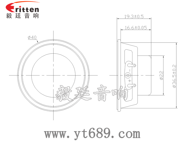 40mm 4Ω3w全频喇叭成品图