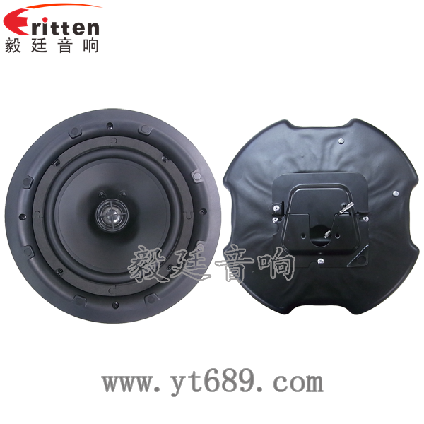 8''250w 重低音喇叭正反面