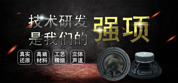 6.5寸碳纤盆/橡胶边100w高端汽车同轴喇叭 6.5寸碳纤盆/橡胶边100w高端汽车同轴喇叭